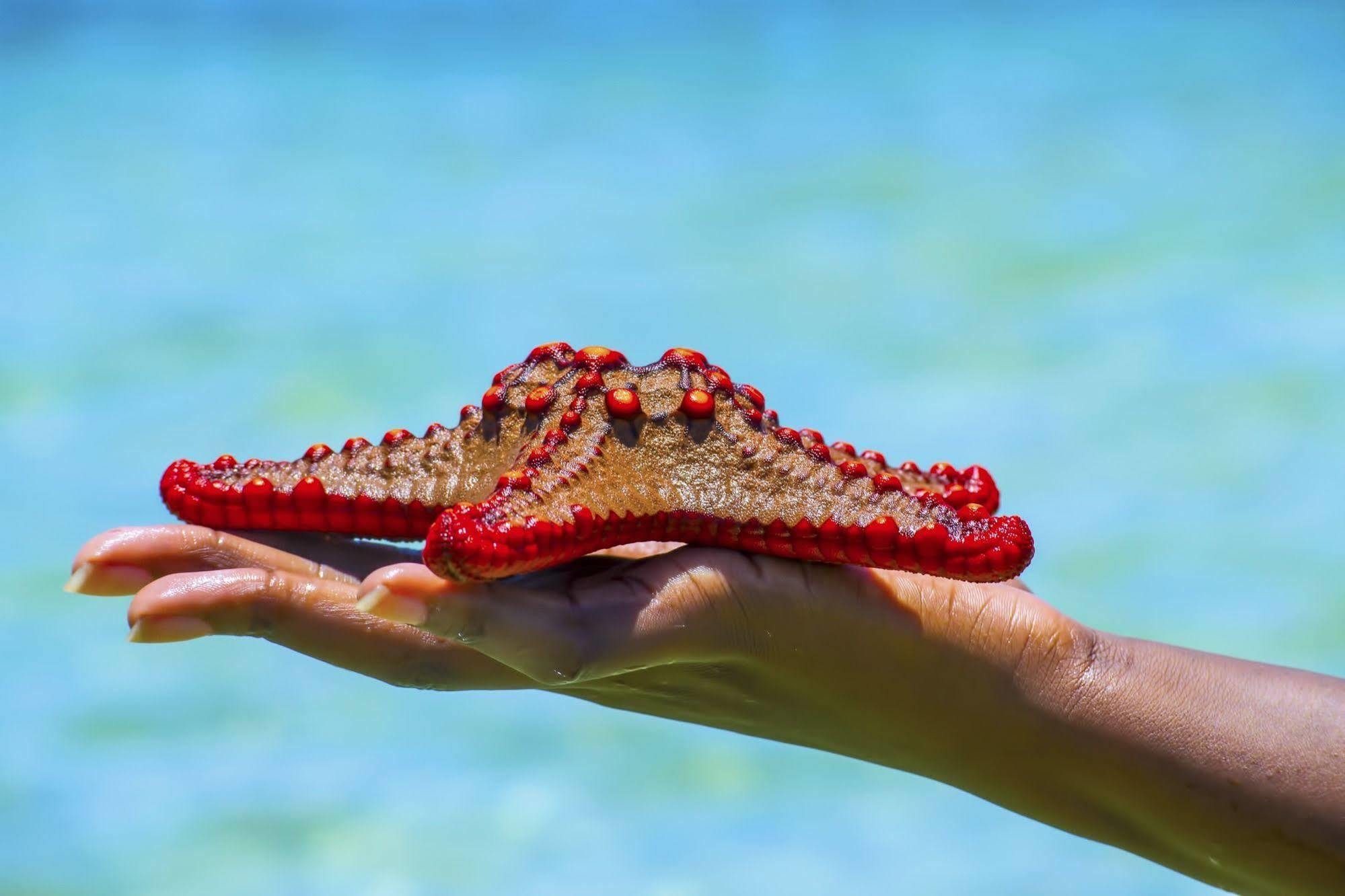 Mombasa Beach Hotel Экстерьер фото